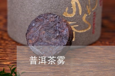 普洱茶雾/2023110829636