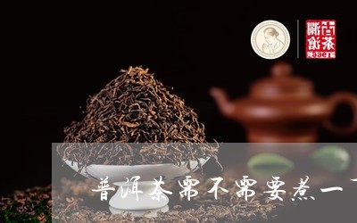 普洱茶需不需要煮一下喝/2023110172815