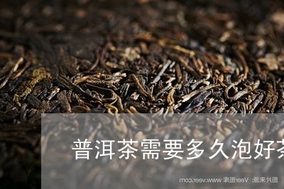 普洱茶需要多久泡好茶一次/2023110797261