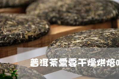 普洱茶需要干燥烘焙吗/2023080149480