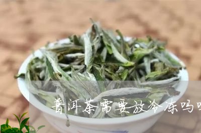 普洱茶需要放冷冻吗吗能放多久/2023110421867