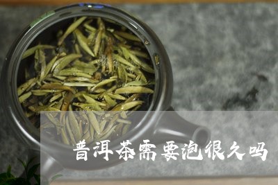 普洱茶需要泡很久吗/2023120546158