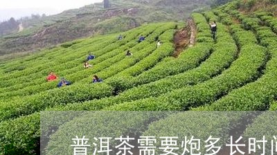 普洱茶需要炮多长时间/2023061707583