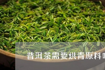 普洱茶需要烘青原料吗/2023101729570