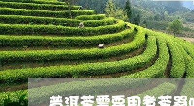 普洱茶需要用煮茶器吗/2023061606271