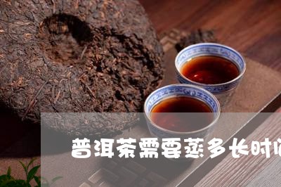 普洱茶需要蒸多长时间/2023092968692