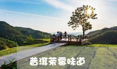 普洱茶霉味道/2023042679427