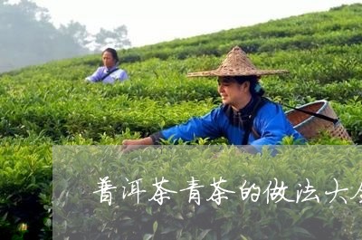 普洱茶青茶的做法大全集/2023050730704