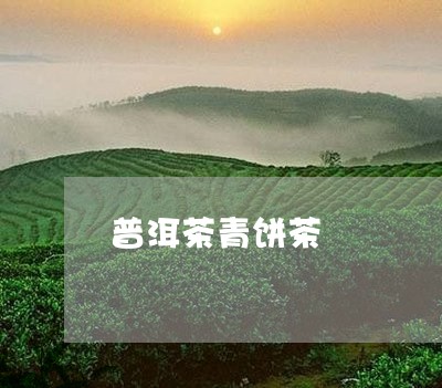 普洱茶青饼茶/2023042708032