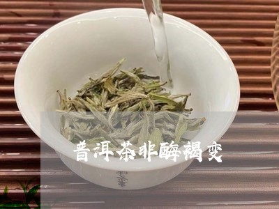 普洱茶非酶褐变/2023112631692