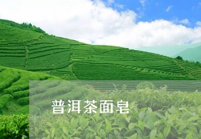 普洱茶面皂/2023081727060