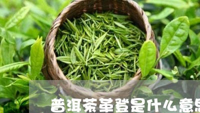 普洱茶革登是什么意思/2023092847472