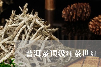 普洱茶顶级红茶世红/2023062541815