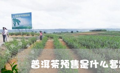 普洱茶预售是什么套路/2023080129482