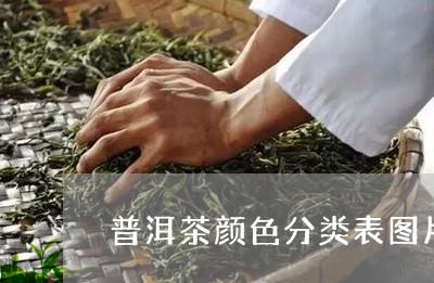 普洱茶颜色分类表图片高清/2023112503915