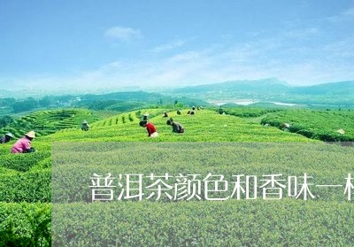 普洱茶颜色和香味一样吗/2023050449493