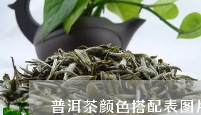 普洱茶颜色搭配表图片及价格/2023052979592