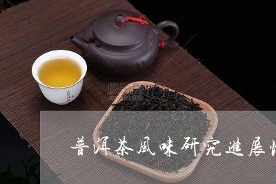 普洱茶风味研究进展情况/2023081630381