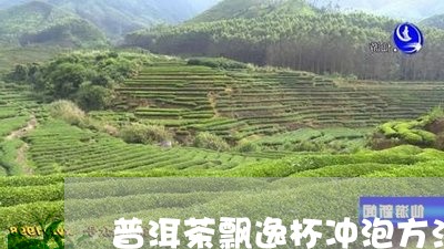 普洱茶飘逸杯冲泡方法/2023100611714