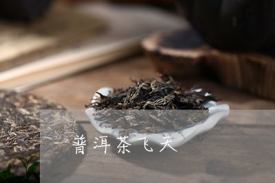 普洱茶飞天/2023090526169