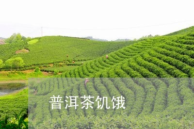 普洱茶饥饿/2023090662847