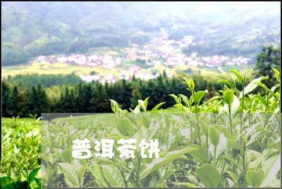 普洱茶饼/2023083144139