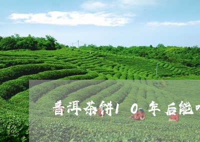 普洱茶饼10年后能喝吗/2023082733947