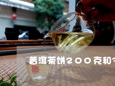 普洱茶饼200克和375克储存好/2023060329360