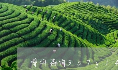 普洱茶饼357g14号/2023082447168