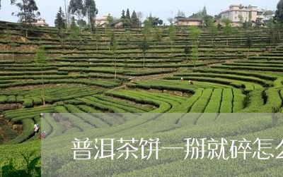 普洱茶饼一掰就碎怎么取/2023110117150