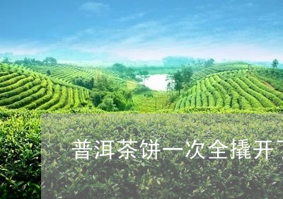 普洱茶饼一次全撬开了/2023072148483