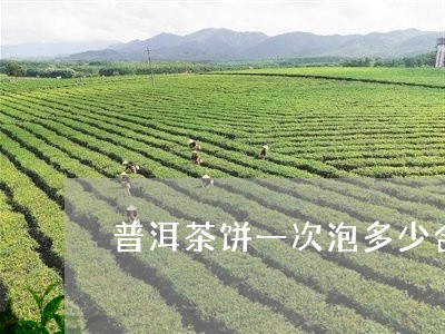 普洱茶饼一次泡多少合适呢/2023110299806