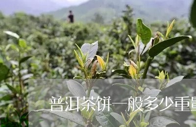 普洱茶饼一般多少重量一个/2023083191814