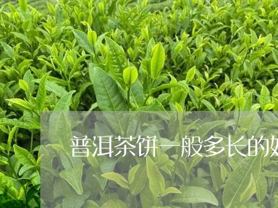 普洱茶饼一般多长的好一点/2023082788070