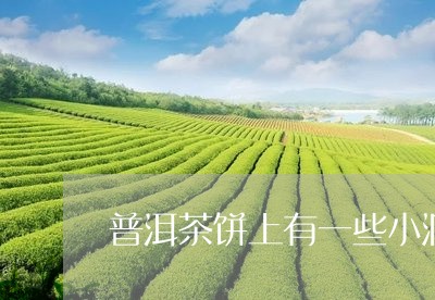 普洱茶饼上有一些小洞/2023092893824