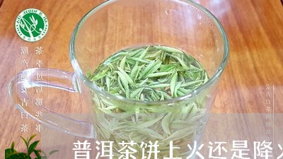 普洱茶饼上火还是降火/2023120705840