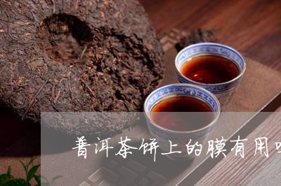 普洱茶饼上的膜有用吗/2023092668392