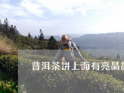 普洱茶饼上面有亮晶晶/2023062319723