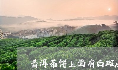 普洱茶饼上面有白斑点/2023092984837