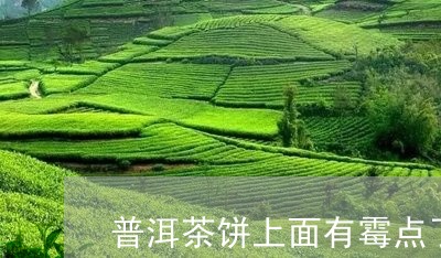 普洱茶饼上面有霉点了能喝吗/2023052888351