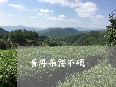 普洱茶饼不硬/2023042829088