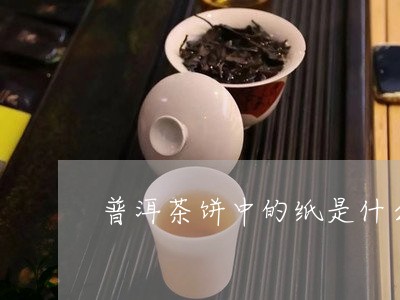 普洱茶饼中的纸是什么/2023062815303