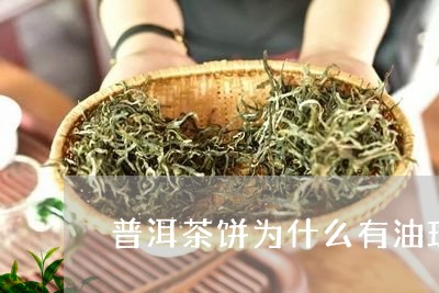 普洱茶饼为什么有油斑/2023092806148