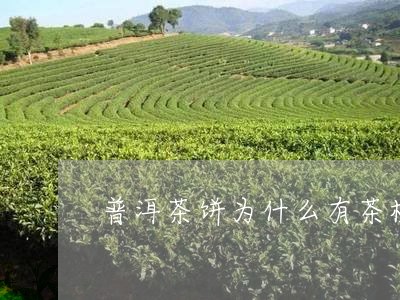 普洱茶饼为什么有茶梗/2023083197859