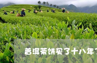 普洱茶饼买了十八年了/2023092816158