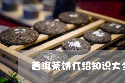 普洱茶饼介绍知识大全视频/2023110481514