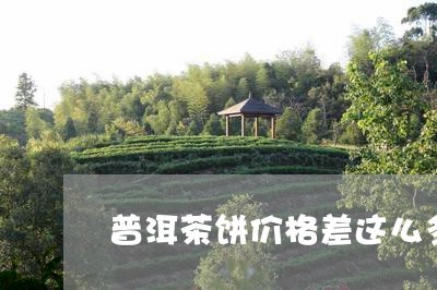 普洱茶饼价格差这么多/2023061683949