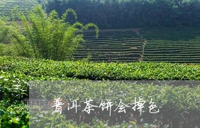 普洱茶饼会掉色/2023101649783