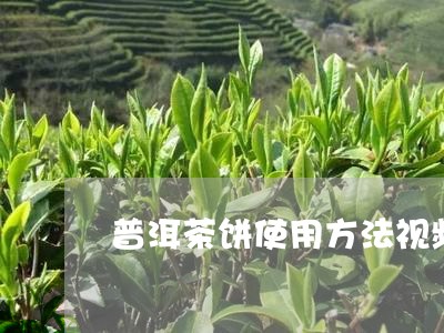 普洱茶饼使用方法视频/2023062335527