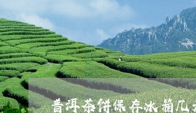 普洱茶饼保存冰箱几天还能喝吗/2023110460486